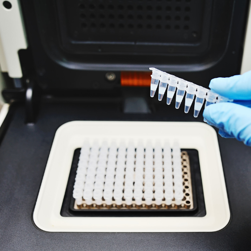 PCR Kit