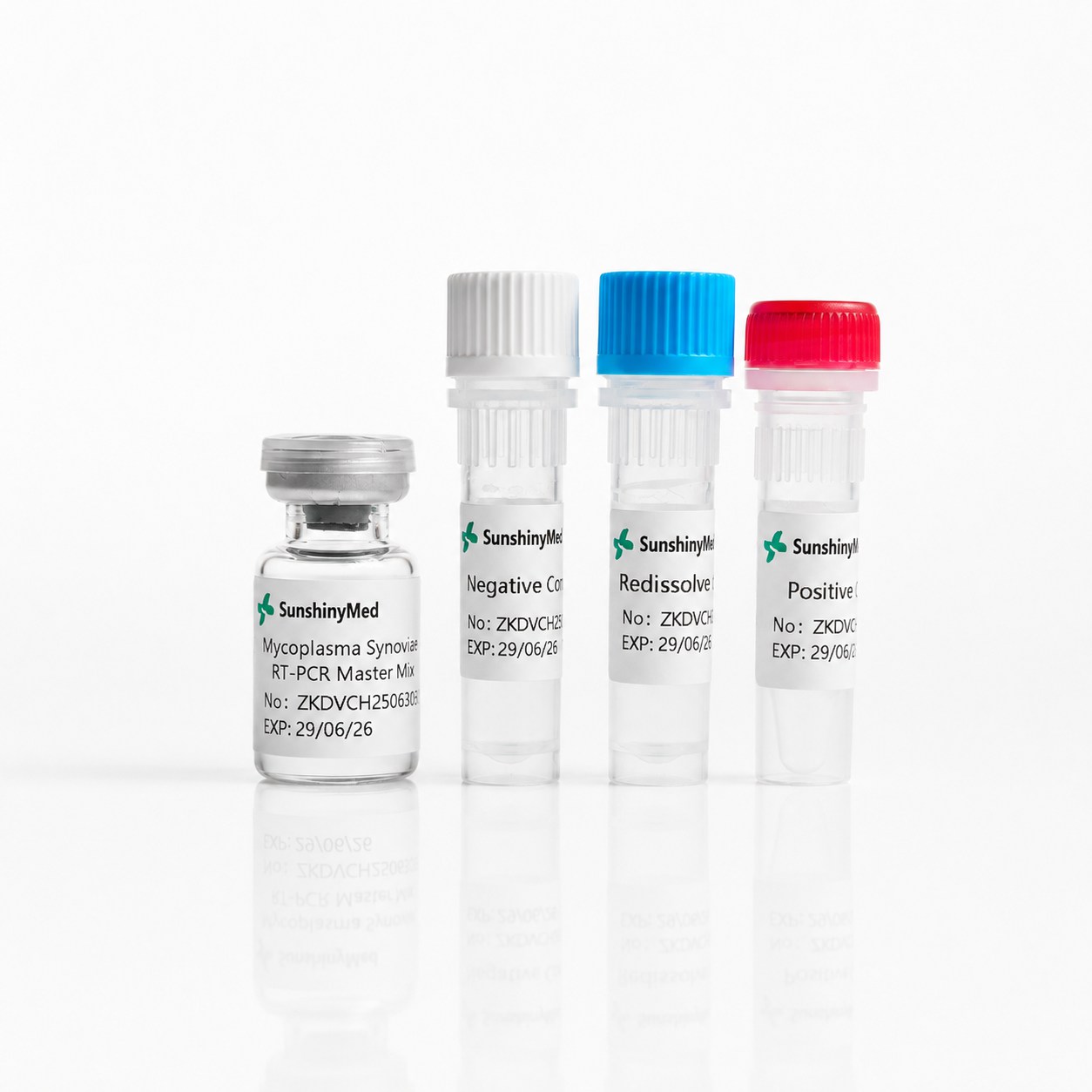 Chicken Mycoplasma Synoviae (MS) Detection Kit