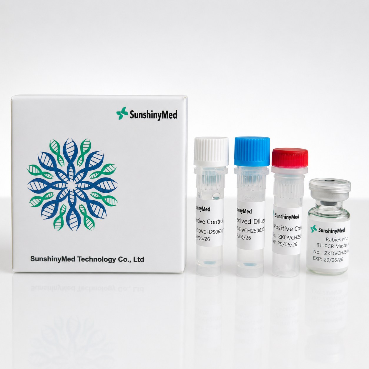 Rabies virus (RV) Detection Kit